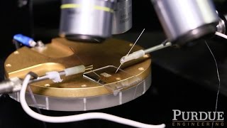 Electronic Sensor for Bacteria Detection
