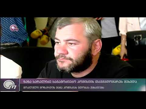 ზაზა სარალიძე საგამოძიებო კომისიის თავმჯდომარეს შეხვდა