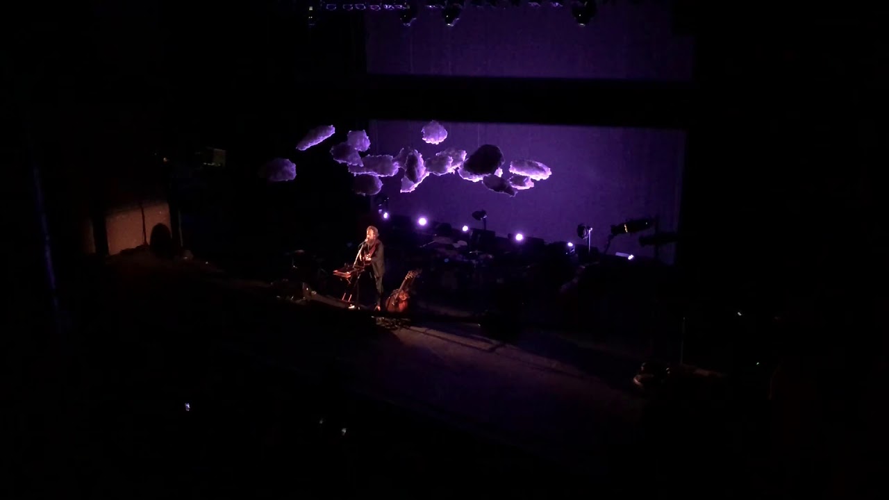 Iron and Wine — Such Great Heights YouTube