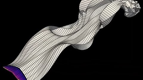 UVLM: Applications for Flapping Wing Flight