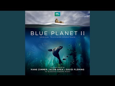 The Blue Planet - YouTube