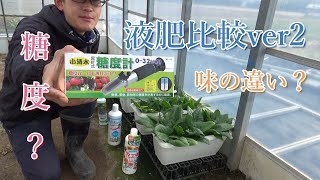 (続）液肥比較実験→糖度と味に差はあるのか？