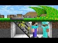 HOW to SURVIVE a NOOB and PRO FROM a XP TSUNAMI? in Minecraft Noob vs Pro