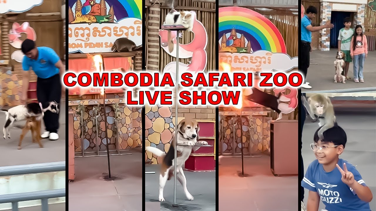 Cambodia Safari Zoo Live Animal Show | Kids Entertainment | Ultimate Wildlife Adventure