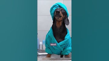 Manage your expenses with Odoo Dashboard