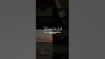 ﴿ هُمْ دَرَجَاتٌ عِندَ اللَّهِ ۗ وَاللَّهُ بَصِيرٌ بِمَا يَعْمَلُونَ﴾[ سورة آل عمران: 163]