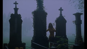 The Gateway Process - Quiet of the night (2025)