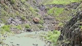 LA ALDEA - GRAN CANARIA - CAIDERO DE LA NIÑA