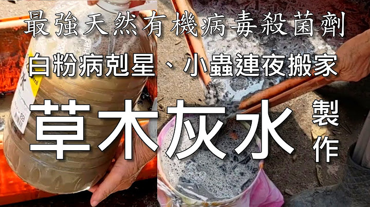 最強天然有機殺菌劑白粉病剋星"草木灰水"連小蟲也怕它 - 天天要聞