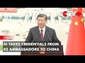Xi takes credentials from 42 ambassadors to china