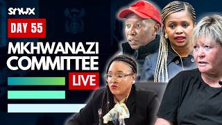 Lt Gen Senthumule Testifies In Parliament