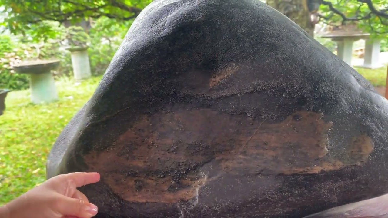 mùng 10 mưa lớn đc đi chơi 