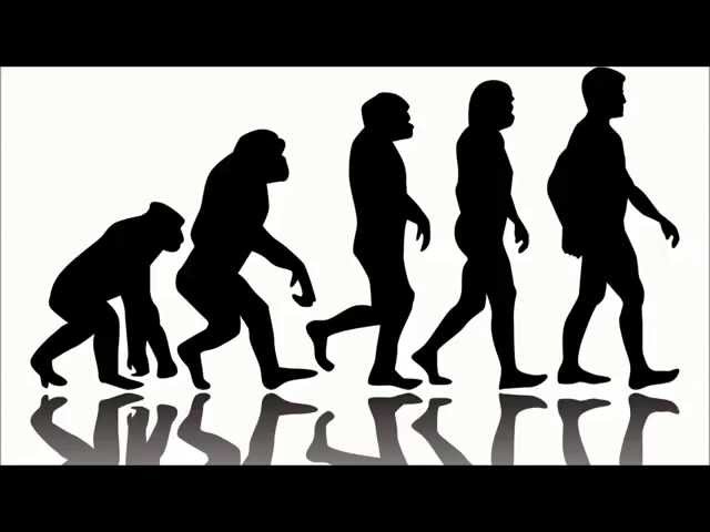BBC 6 Minute English August 27, 2015 - Evolution before Darwin