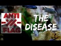 Miniature de la vidéo de la chanson The Disease