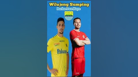 Federico Barba Dan Tom Haye Gabung Persib #shorts #Persib #WilujengSumping #Bobotoh