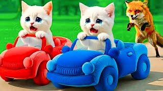 Mama Cat Trims Fur on the Farm and Makes Tiger Hat For Kittens At Home🐾🎩🐯