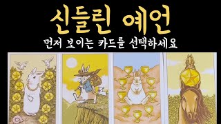 [타로] 잘 맞아서 소름 돋을 이야기, 진심으로 기원합니다🙏🏻