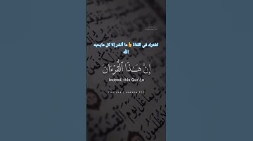 راحة نفسيه مع القارئ | ياسر الدوسري #quran #ياسر_الدوسري #قرآن #تلاوة_خاشعة #راحة_نفسية