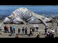 Scientist&#39;s Terrifying New Discovery On the Beach Changes Everything