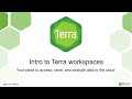 Intro to Terra workspaces