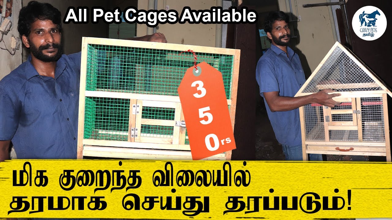 Cheapest Pets Cage Sales | Wooden Bird Cage Making | Pets Cage Chennai | CPT