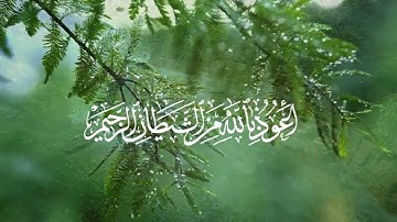 سورة الفاتحة (كاملة) | القارئ طارق محمد