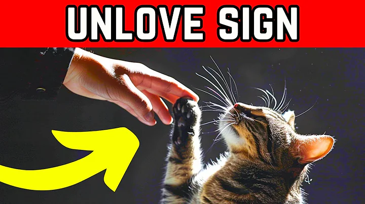 8 Signs Your CAT DOESN'T LOVE YOU (Even If You Think They Do)