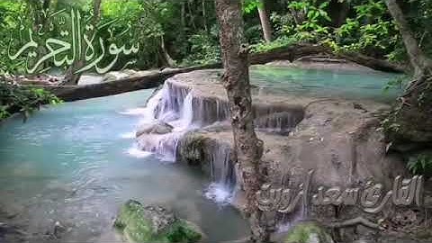 Sourat attahrim سورة التحريم بصوت القارئ سعد ازويت