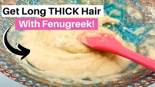 5 Ways to Use FENUGREEK for FAST Hair Growth! *Grow the thickest hair possible!!*