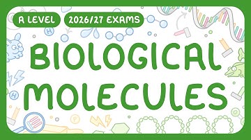 A-Level Biology - Biological Molecules - Carbohydrates | Lipids | Proteins | Nucleic Acids