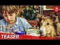 LASSIE Teaser Trailer 2023 - Deutsch / German