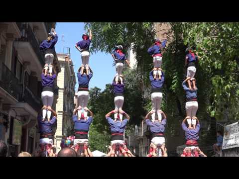 Vídeo: Carretilla Reforçada De Dues Rodes De Construcció: Trieu Un Carretó De 2 Rodes Amb Un Volum De 100 Litres I Una Capacitat De Càrrega De 350 Kg