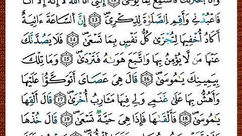 ختمة مصحف التجويد برواية قالون الصفحة رقم 313