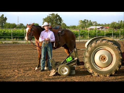 Sharon Camarillo's Arena Drag - TR3 Rake