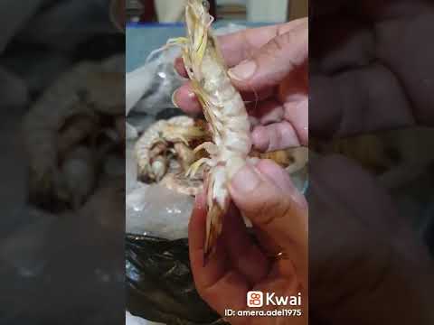ازاى تعرفى اجود انواع الجمبري  مطبخ أميرة عادل