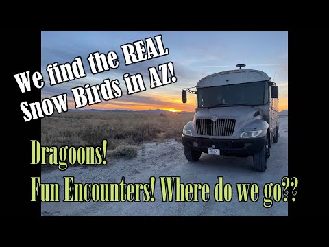 Real Snow Birds in AZ! Willcox! Dragoons!  Skoolie, Bus Conversion Travel