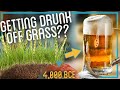 Brewing Beer from Dirt and Grass