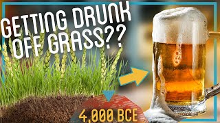 Brewing Beer from Dirt and Grass