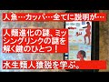 人魚、河童、そして人類進化におけるミッシングリンクの答えか？！水生類人猿説を学ぶ #ミッシングリンク #人魚 #河童 #水生類人猿説 #アクア説
