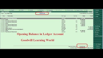 Tally TDL for View opening Balance in Ledger Account  : Free Tally Add on Download