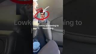 Listen carefully #hounddog #meme #shortsvideo #funnyvideo #dontletthisflop