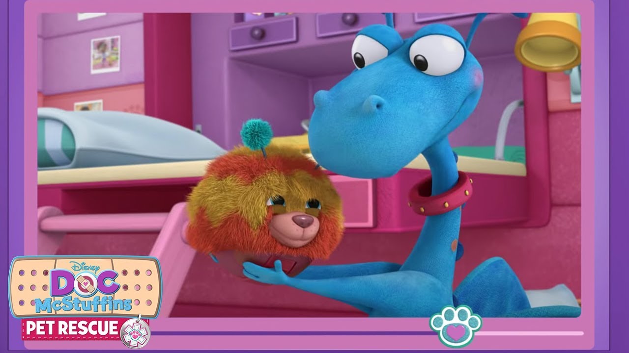 Love Your Pets! | Doc McStuffins Pet Vlog | Disney Junior