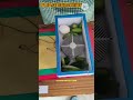 Shital bhandar science project//Shital bhandar//Prize winning science project//Youtube Short.