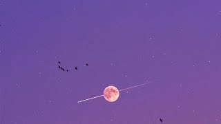 Strictly Deep House Part 9