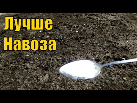 1 Ложку на ведро воды и земля как новая, пролейте этим землю для обильного урожая всего!