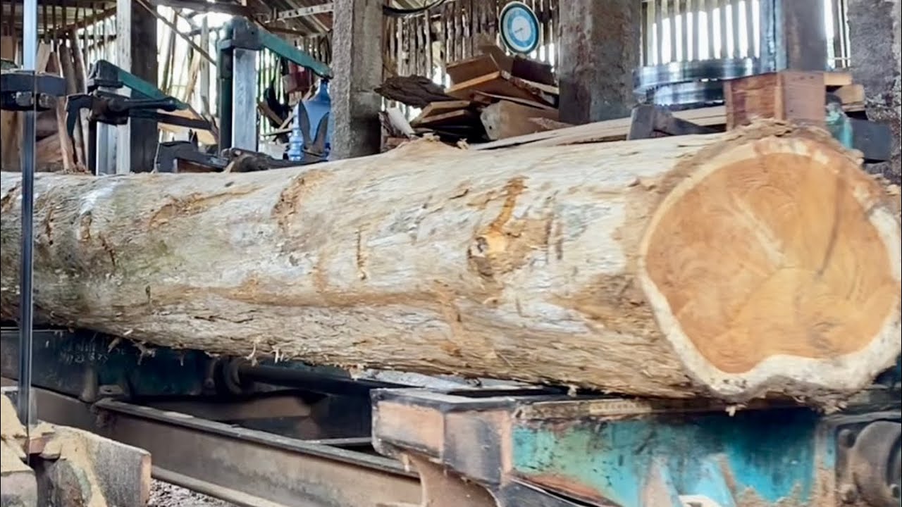 The process of sawing teak wood using a bandsaw machine - modern wood ...