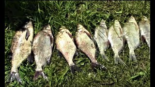 рыбалка /иваньковское водохранилище / клёвый отдых) 18+