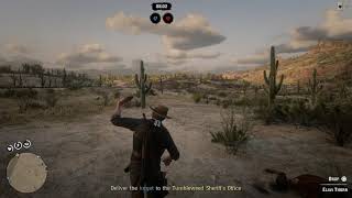 Red Dead Redemption 2 (PS4 Pro) Hunting the Invisible Man (1080p)