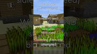 The Most Powerful Exploit in Minecraft History #minecraft #minecraftanarchy #2b2t