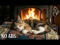 Sleeping Kitten by the Fire: The Perfect Ambience for Deep Relaxation ✨